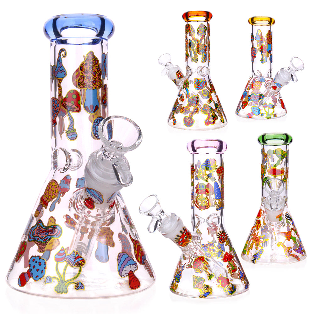 Glass Beaker 6" Bongs  Royal